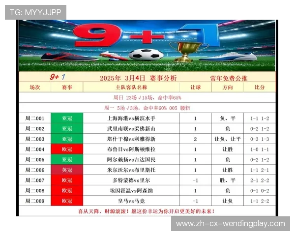 足球赛事中的数据分析与战术改进