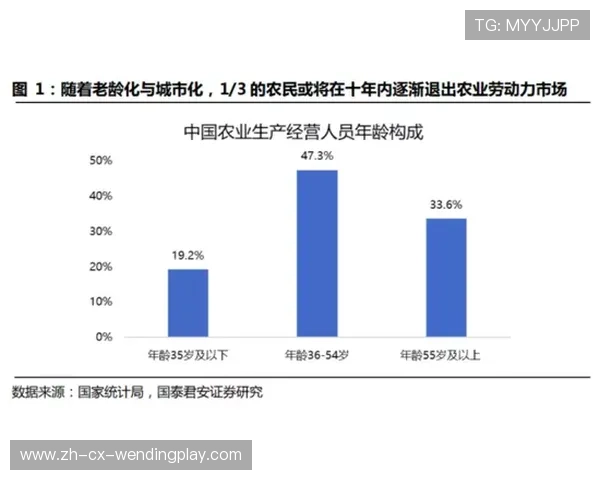金元时代德甲豪门数量变化背后的资本运作与逻辑分析